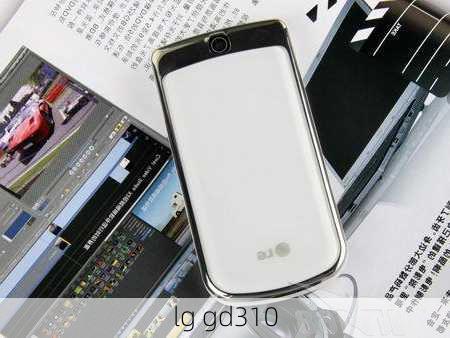 lg gd310