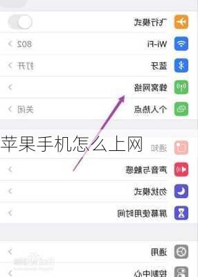 苹果手机怎么上网