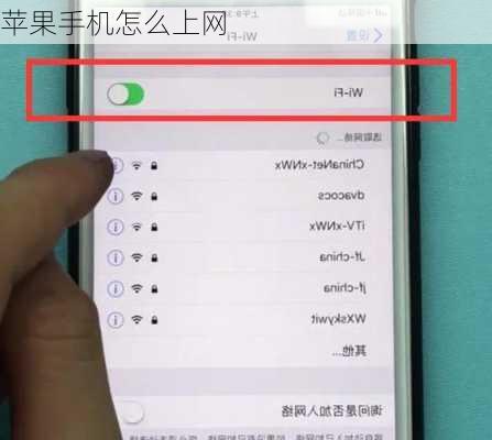 苹果手机怎么上网