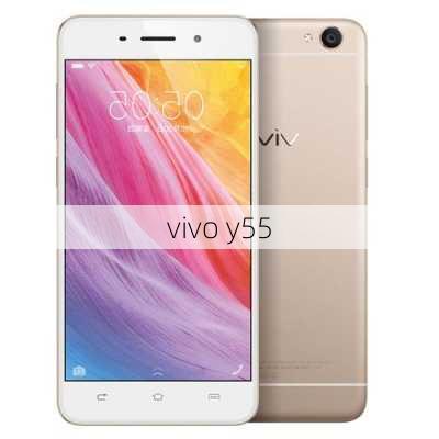 vivo y55