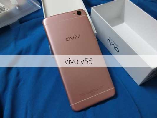 vivo y55