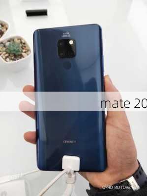 mate 20