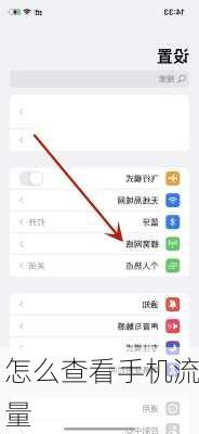 怎么查看手机流量