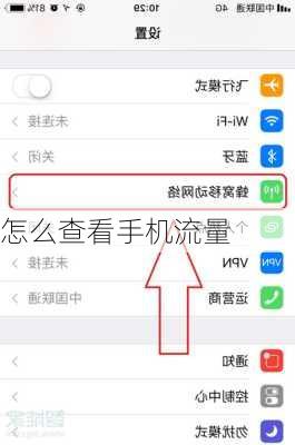 怎么查看手机流量