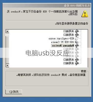 电脑usb没反应