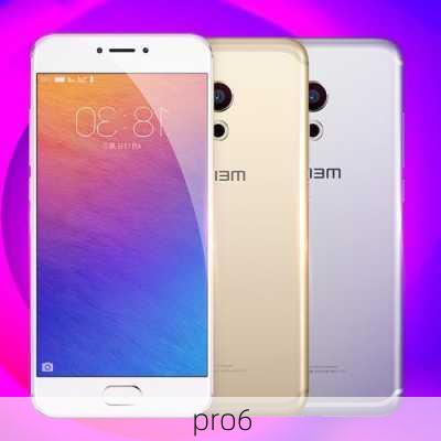 pro6