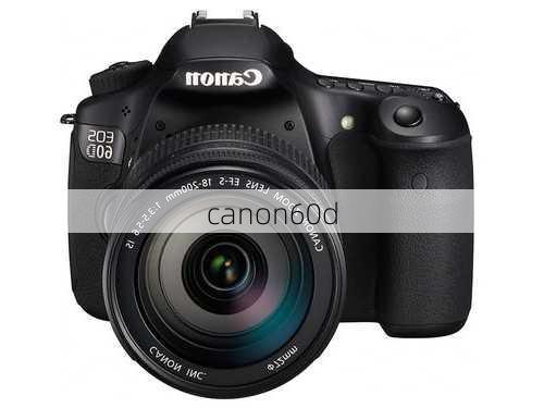 canon60d