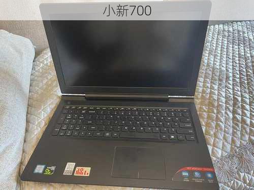 小新700