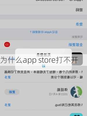 为什么app store打不开