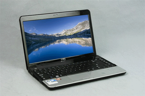 dell 1320