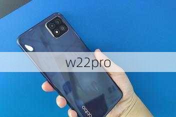 w22pro