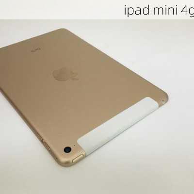 ipad mini 4g