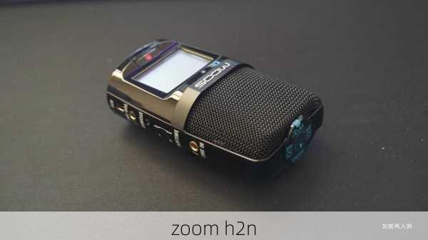 zoom h2n