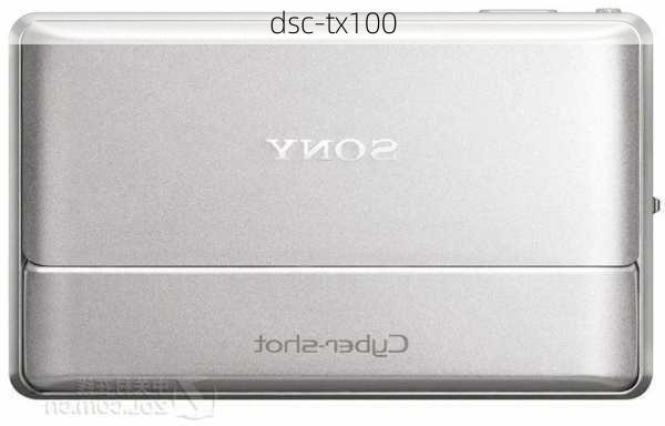 dsc-tx100