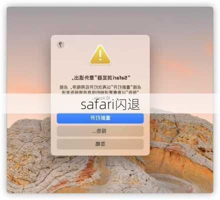 safari闪退