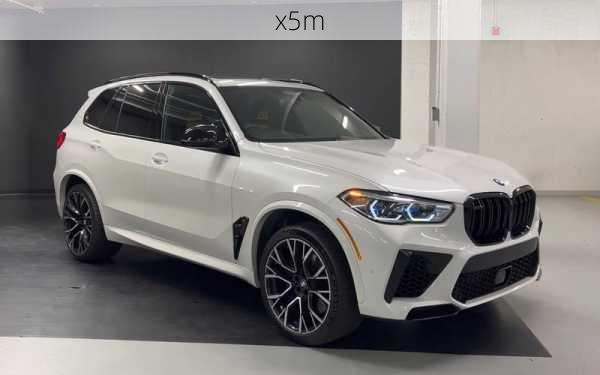 x5m