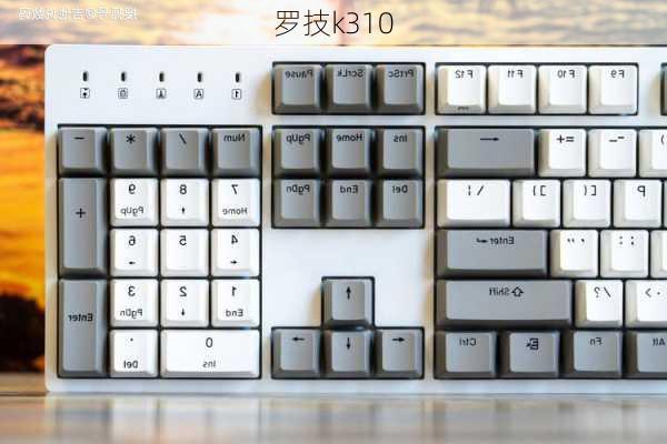 罗技k310