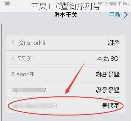 苹果110查询序列号