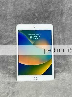 ipad mini5