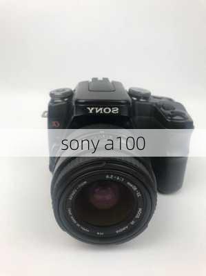 sony a100