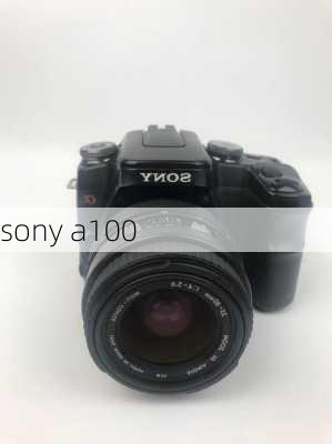 sony a100