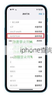 iphone查询