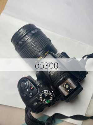 d5300