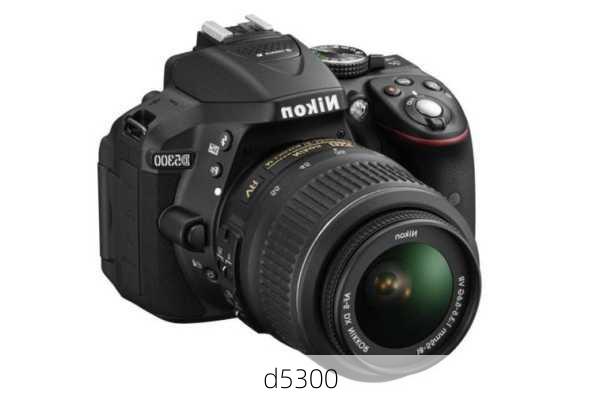 d5300