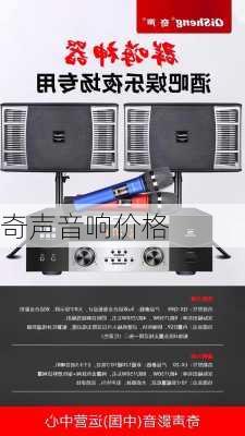 奇声音响价格