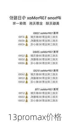 13promax价格