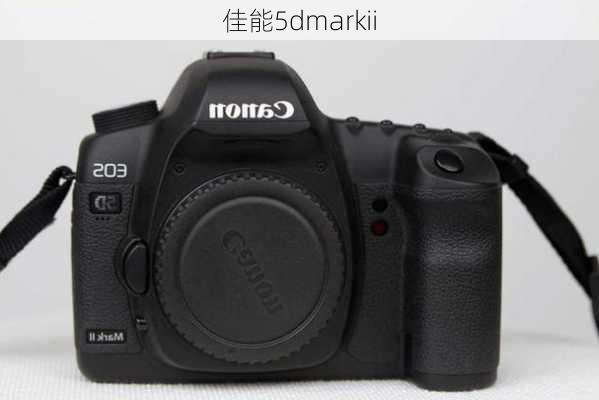 佳能5dmarkii