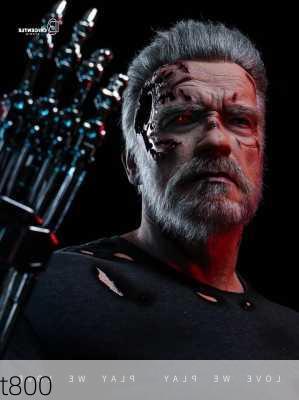 t800