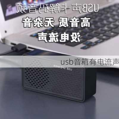 usb音箱有电流声