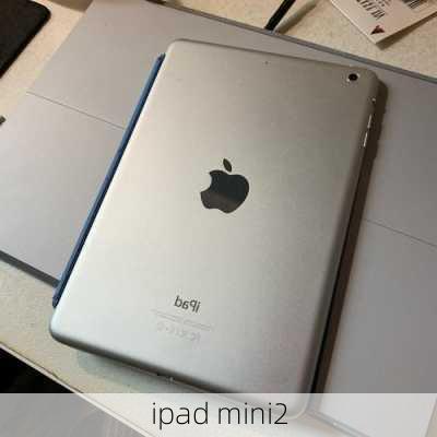 ipad mini2