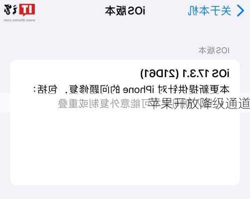 苹果开放降级通道