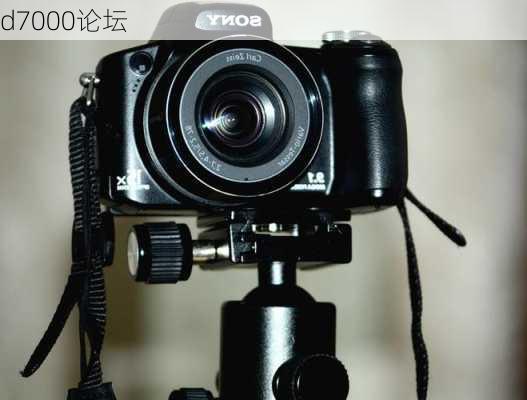 d7000论坛