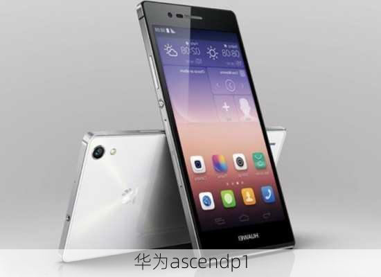 华为ascendp1