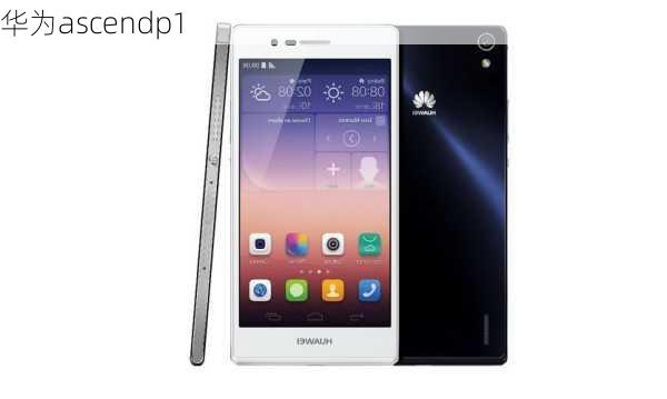 华为ascendp1