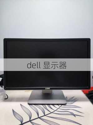 dell 显示器