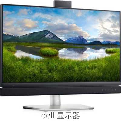 dell 显示器