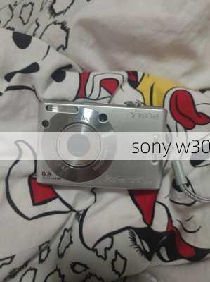 sony w30