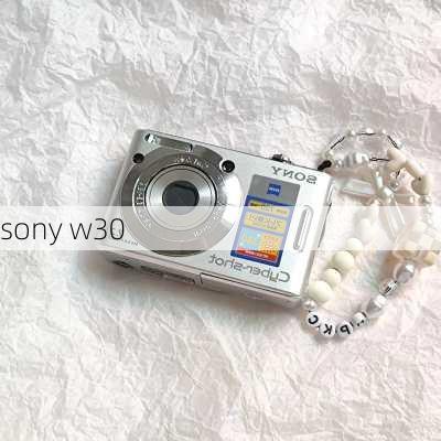 sony w30