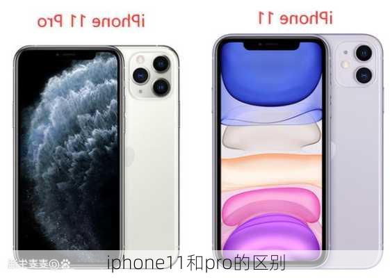 iphone11和pro的区别