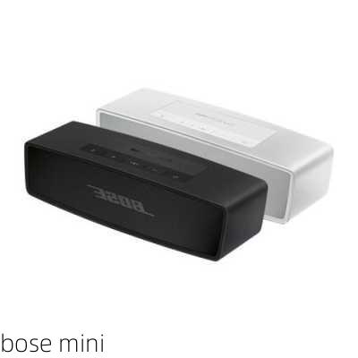 bose mini