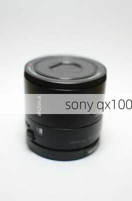 sony qx100