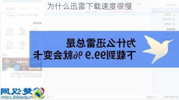 为什么迅雷下载速度很慢