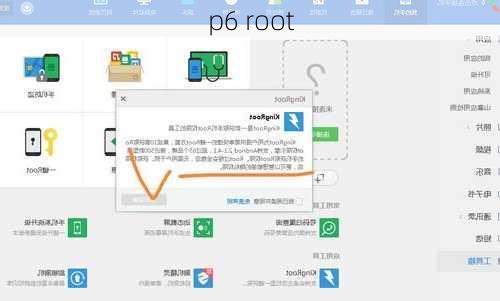 p6 root