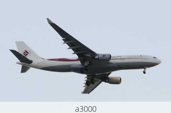 a3000