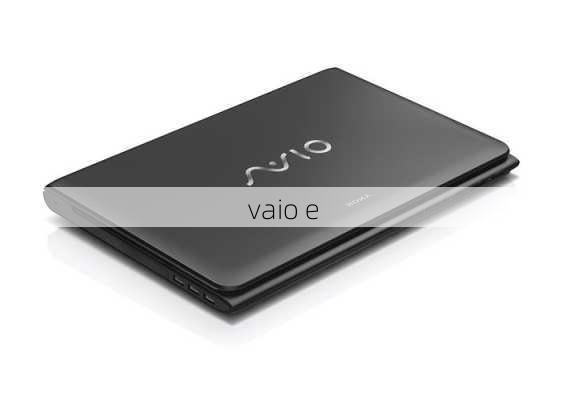 vaio e