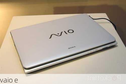 vaio e